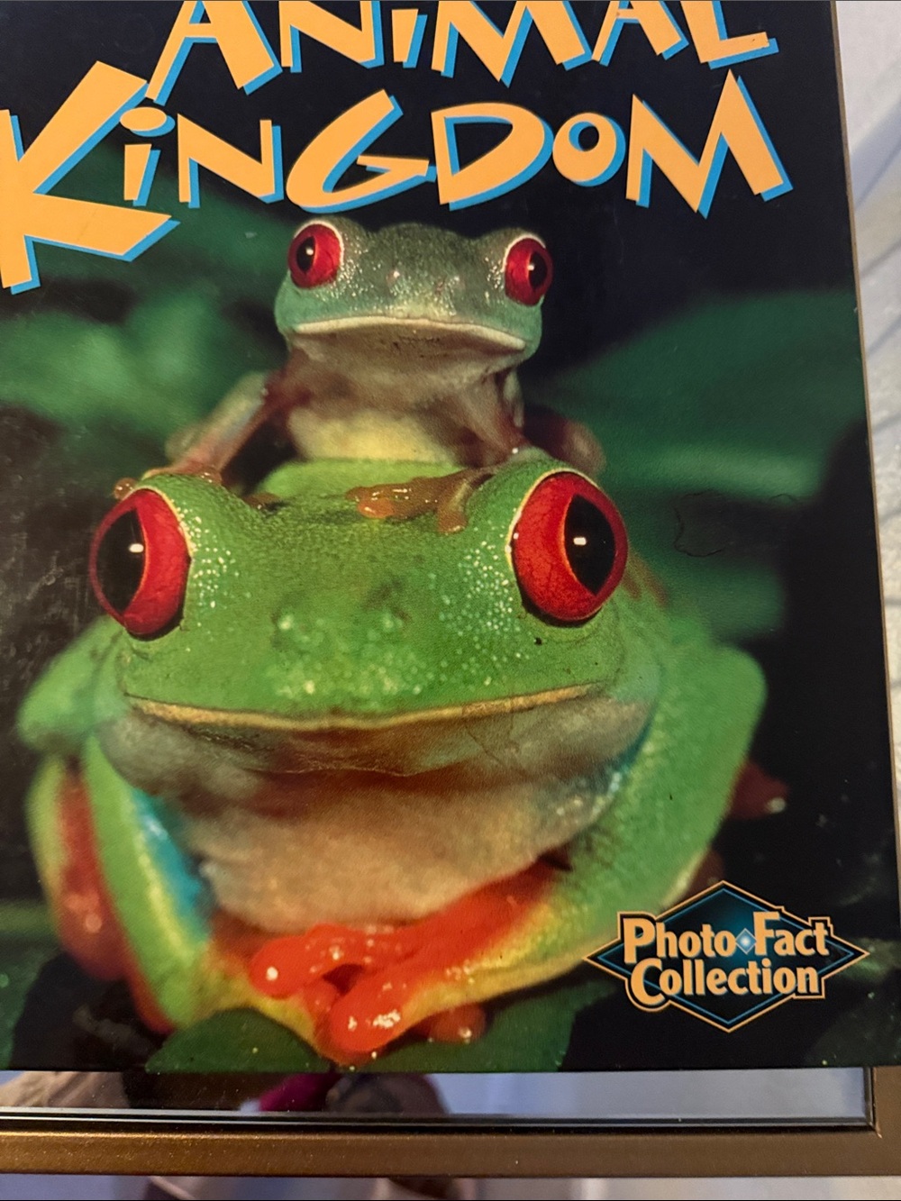 Animal Kingdom Reptile Print - Green